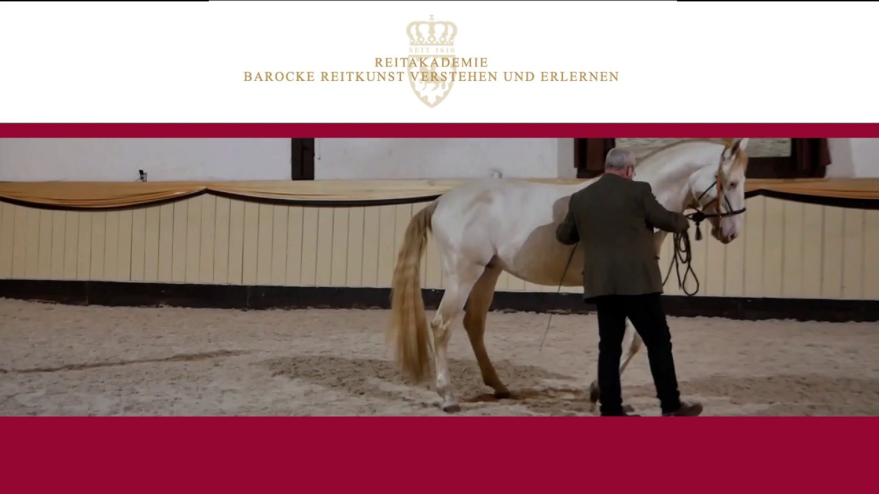 Handarbeit - Bosal & eingelegtes Gebiss - Online Reitakademie