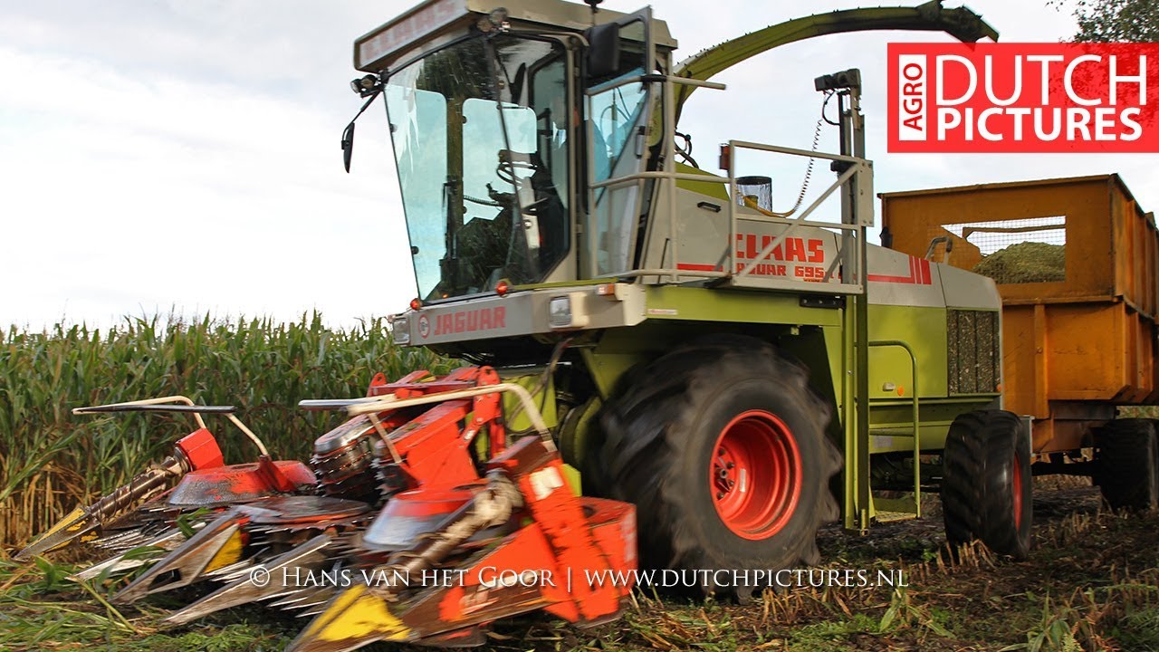 Good old Claas Jaguar 695 SL - International 955 XL - Velkemeen - Mais 2018