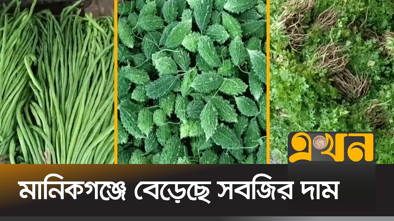 বৈরী আবহাওয়ায় সরবরাহ সংকট | Vegetable Market | Price Hike | Manikganj News | Ekhon TV