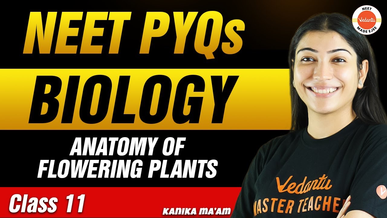 NEET PYQs for Anatomy of Flowering Plants | Class 11 Biology | NEET 2024