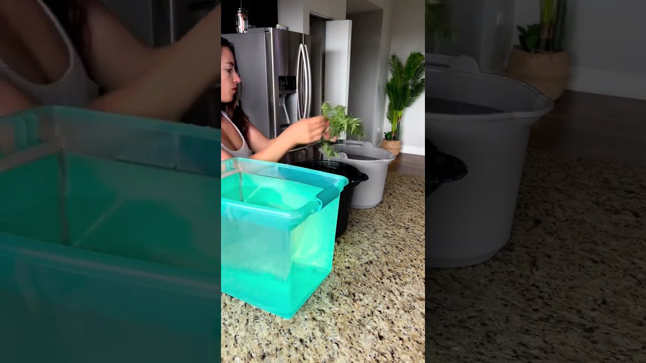 WASHING WEED FROM MY BALCONY