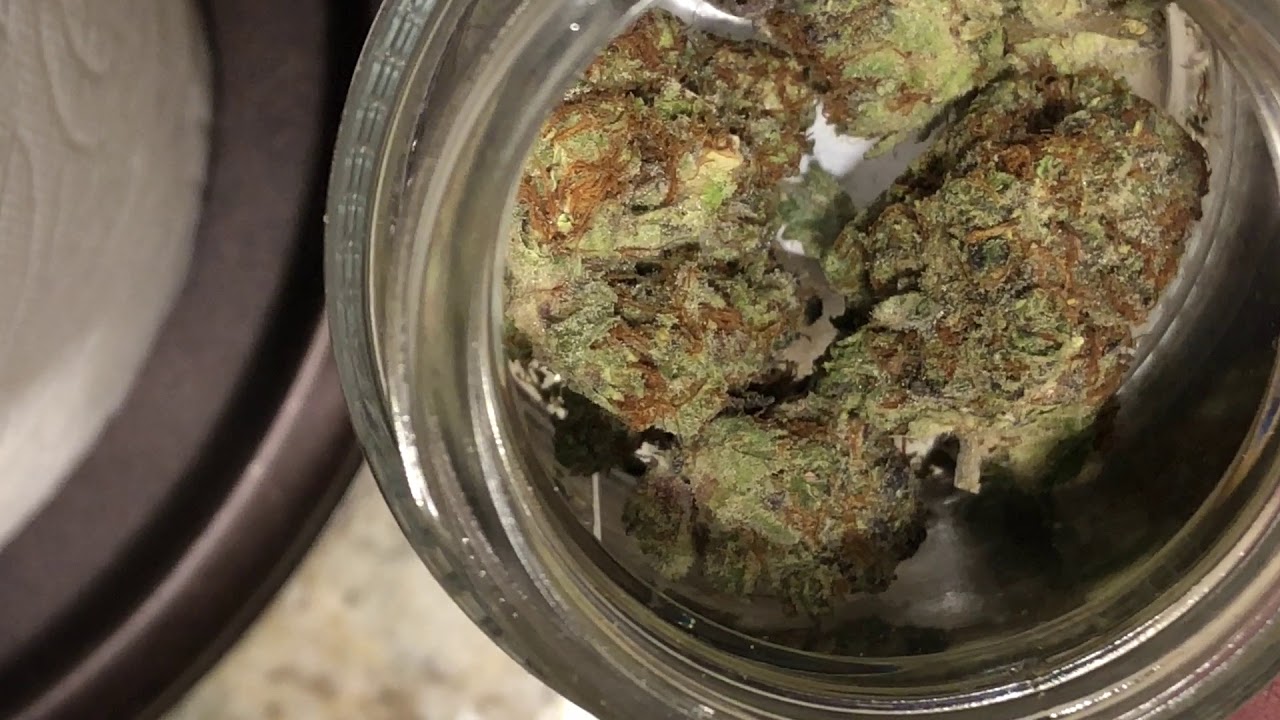 Gold Seal Zookies Opening