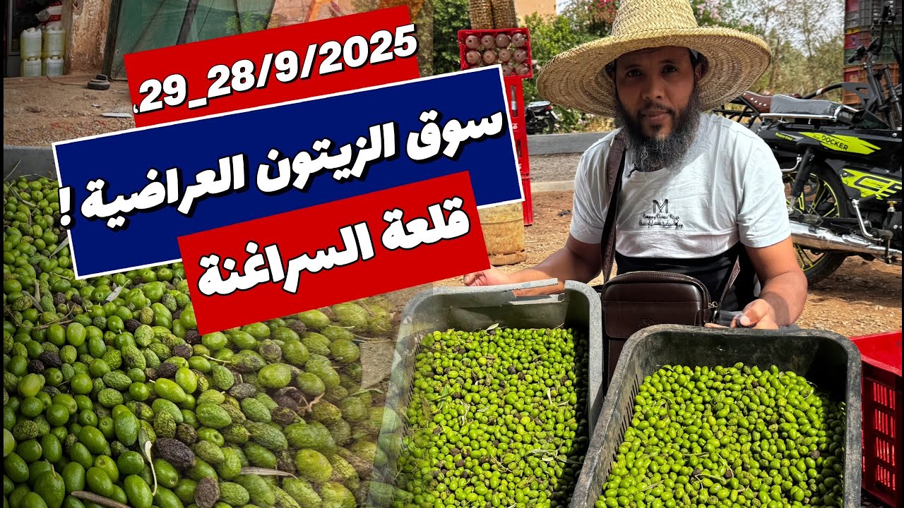 ثمن الزيتون 🫒اليوم 29-28-09-2025 من قلب سوق العراضية قلعة 🏰 السراغنة 