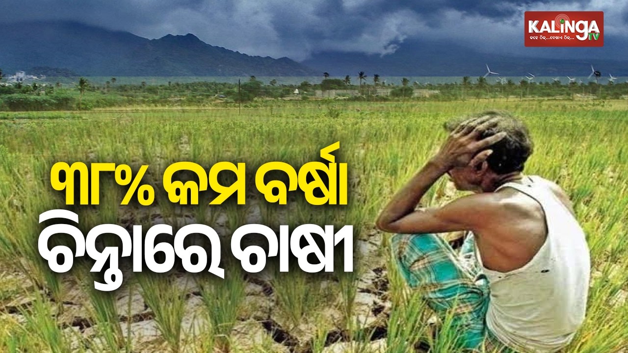 Odisha Faces 38% Rainfall Deficit, IMD Flags Below-Normal Monsoon | Kalinga TV