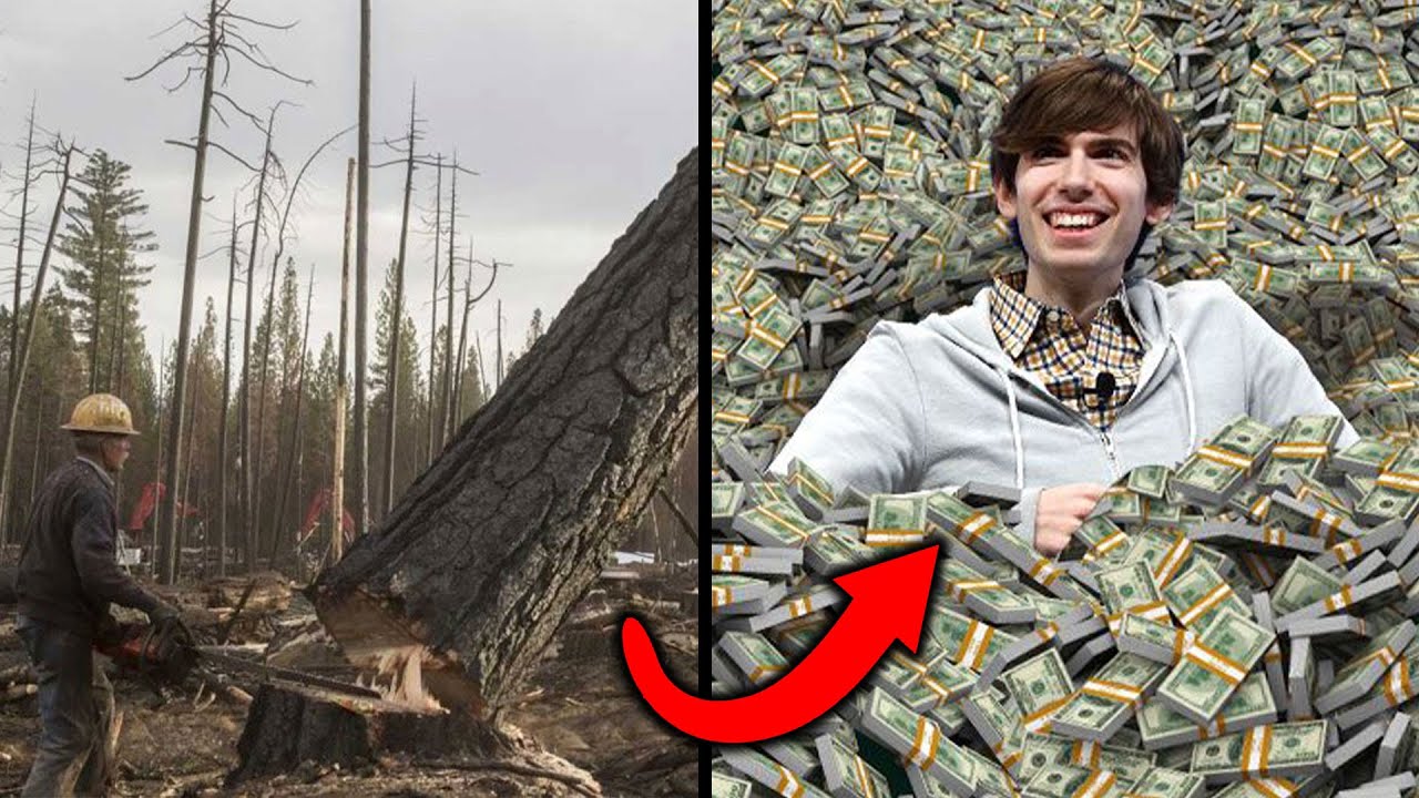r/Maliciouscompliance Destroy My Trees? I'll Sue for $1,000,000!