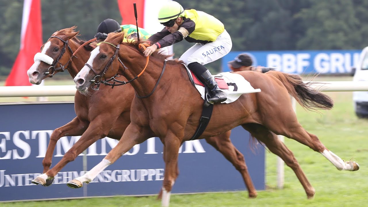 Berlin-Hoppegarten: Hoppegartener Steherpreis 2025 Sieger: Waldadler
