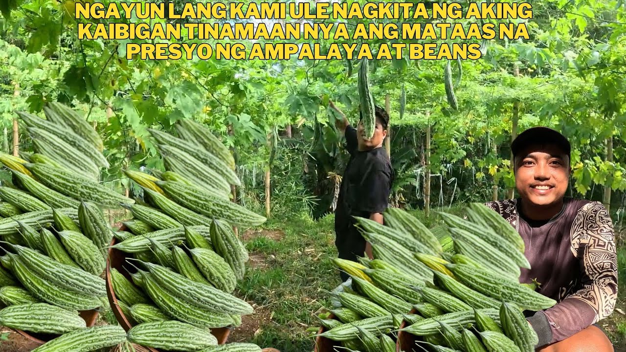DATING OFW FROM KOREA NANATILI SA PILIPINAS NAGGULAYAN UMASENSO SA TA,MANG PROSESO