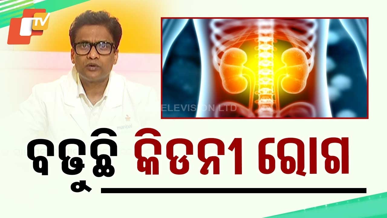 Stay Fit: Kidney Ailments on the Rise Across All Ages; Know the Causes and Prevention Tips