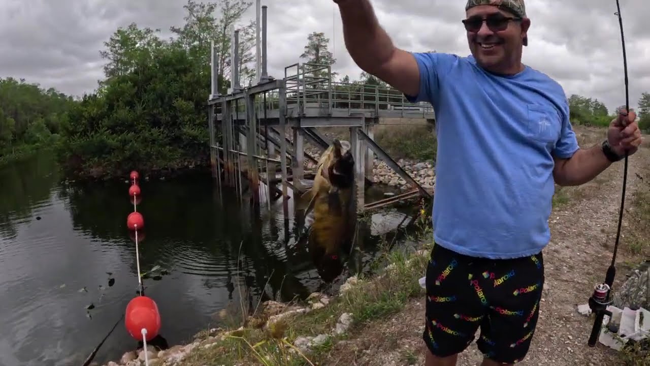 Un Día de Pesca Increíble en Big Cypress, Everglades Florida