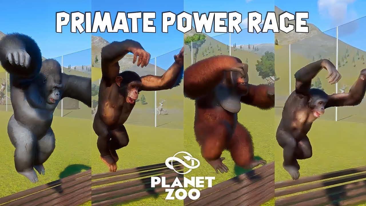 Bornean Orangutan, Western Lowland Gorilla, Chimpanzee, Bonobo, Siamang | Planet Zoo Hurdles Race
