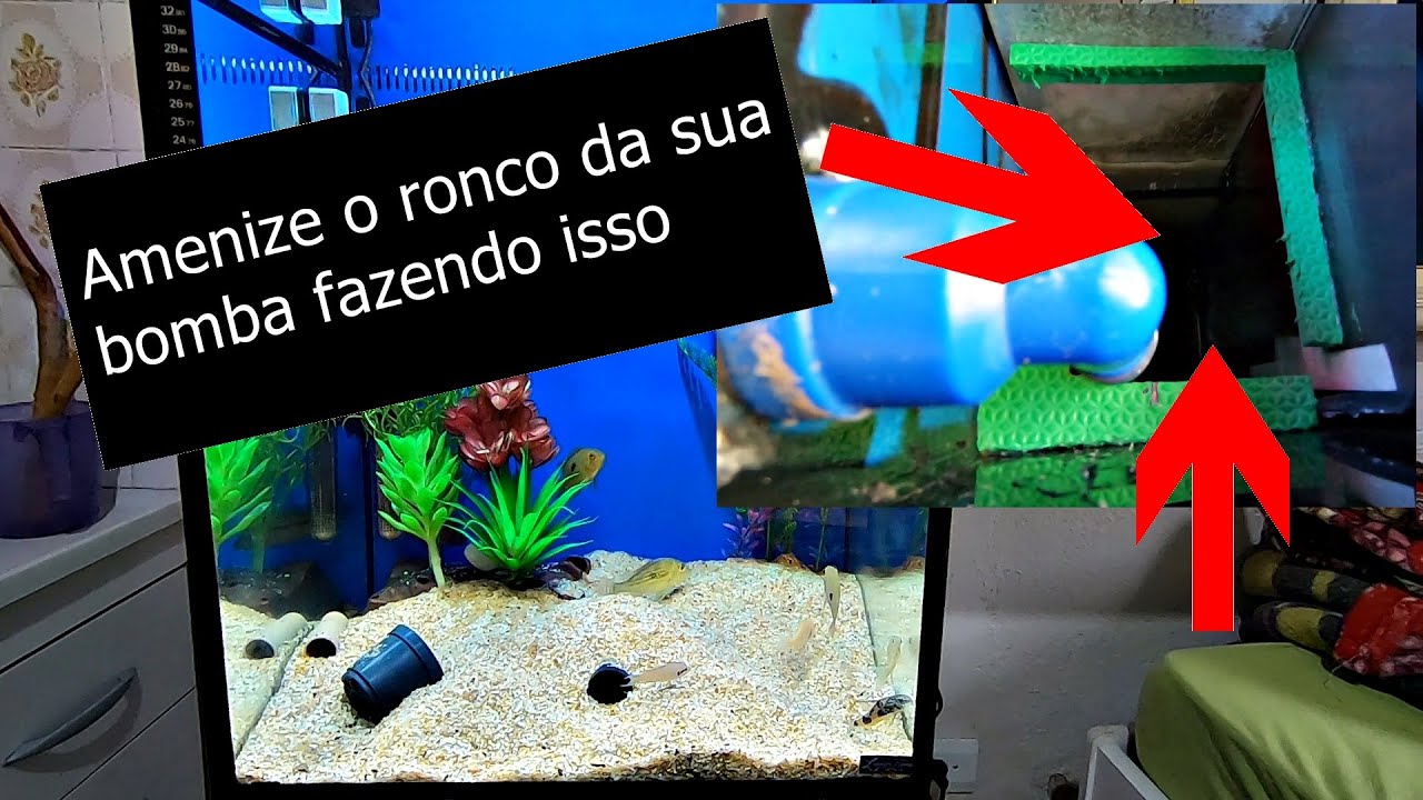Como Reduzir o barulho da sua Bomba - Vídeo 2 (Dica Sump)