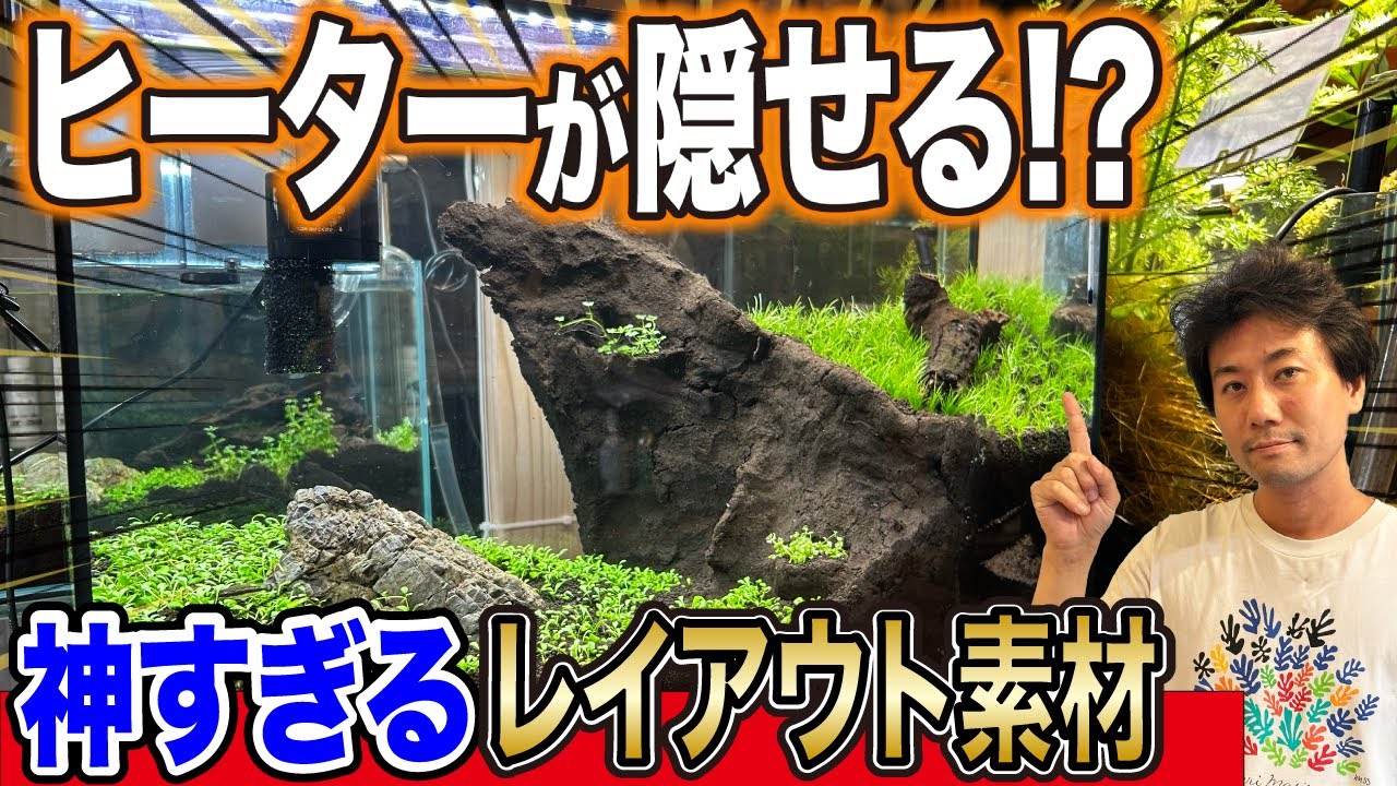 【水槽レイアウト術】ヒーターやフィルターを自然に隠す“神レイアウト素材”紹介！