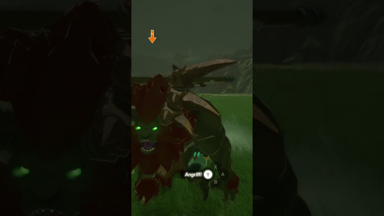 Griock vs Huhn | Zelda TotK