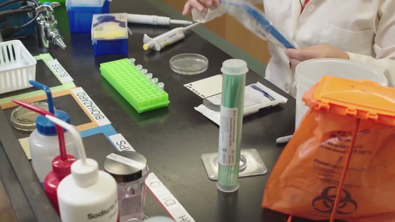Agar plate vs Petri film