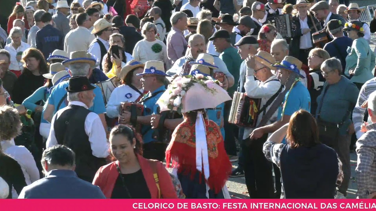 CELORICO DE BASTO. FESTA INTERNACIONAL DAS CAMÉLIAS