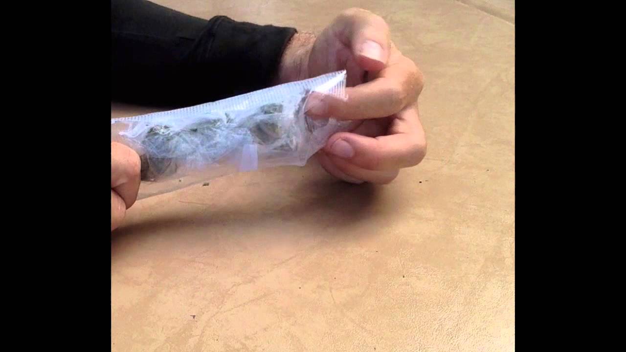 Cannabis Mail Order Unboxing