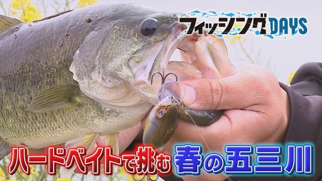 フィッシングDAYS「ハードベイトで挑む！春の五三川」
