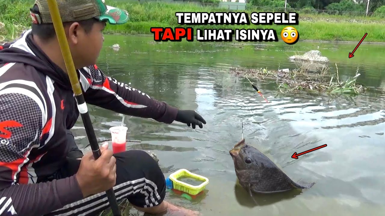 Pantas saja gak ada orang mancing ikanya sebesar ini