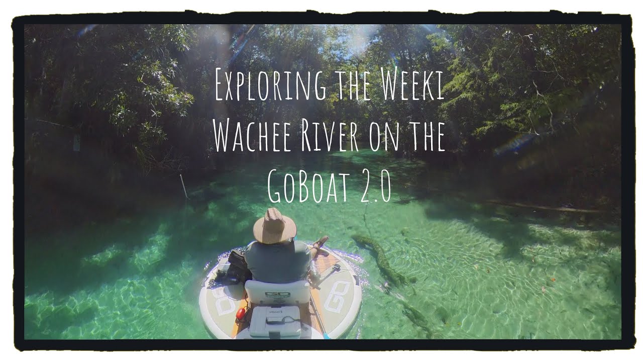 The GoBoat 2.0 on the crystal clear Weeki Wachee River in Florida. I saw manatees and dolphins!