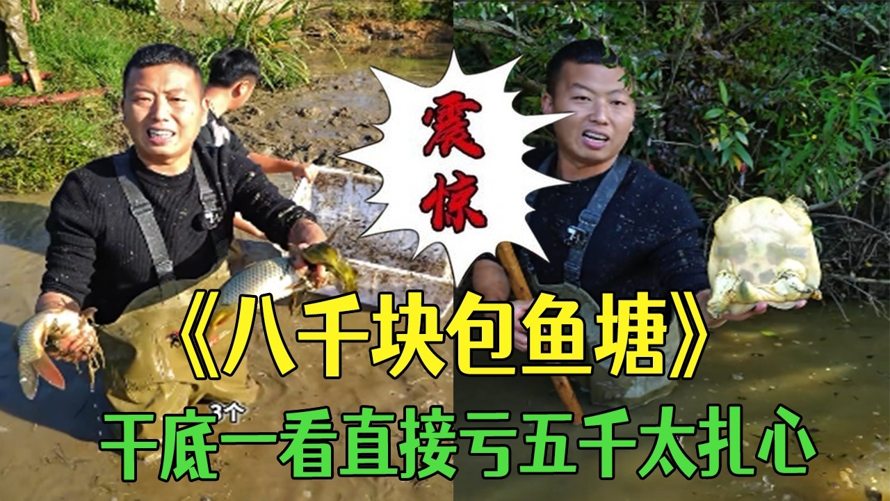 八千塊包魚塘，幹底壹看直接虧五千，太紮心 #小飛哥 #包塘 #護外 #鄉村生活 #fishing