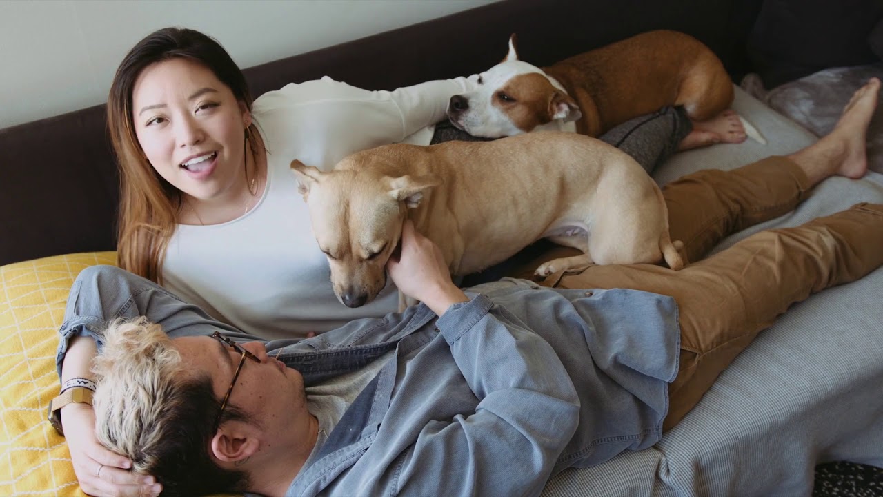 Jennifer Chung - Better Today Than Yesterday [Official Visualizer]