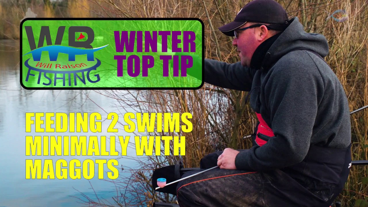 HOW I Feed Two MAGGOT SWIMS With Minimal Bait | Will Raison Top Fishing Tip