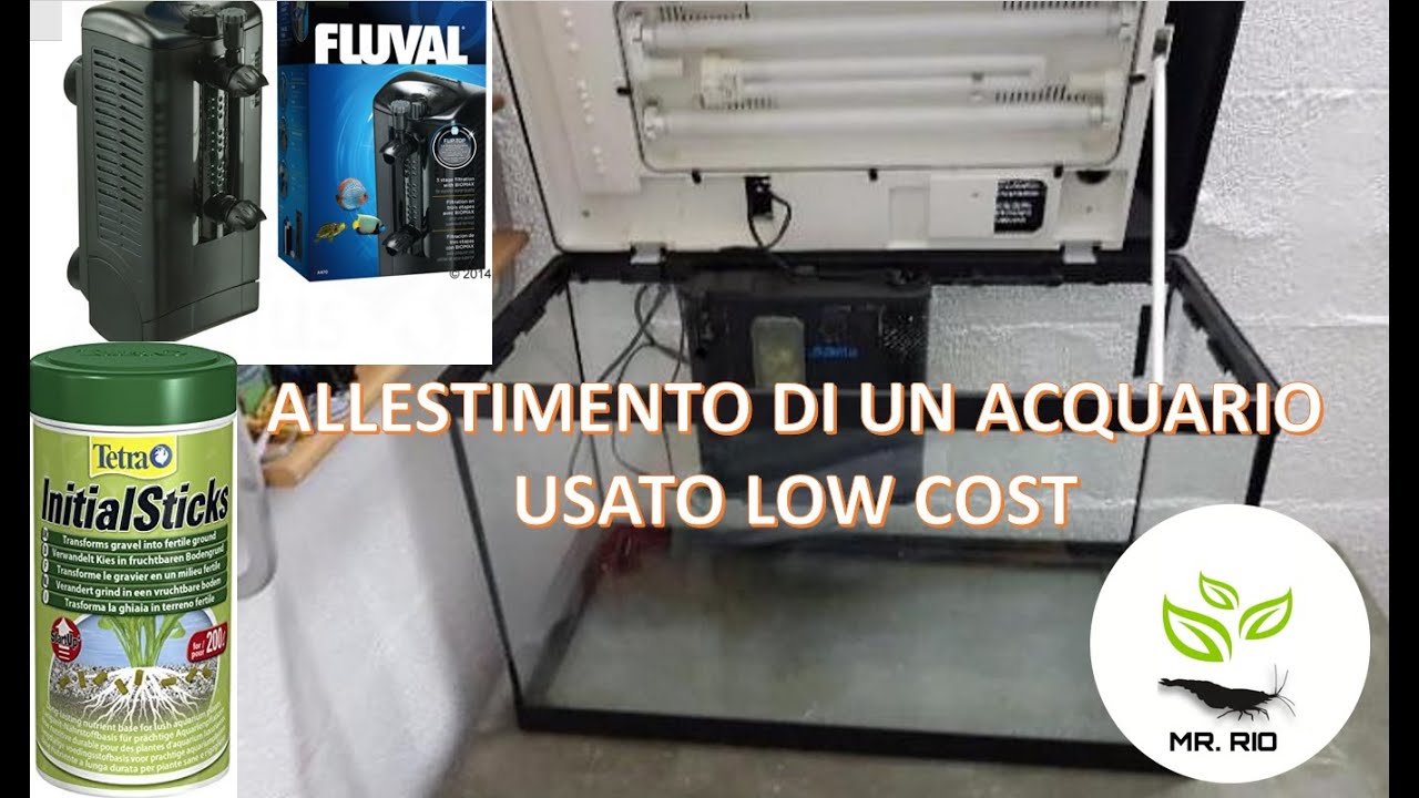 Allestimento di un acquario LOW COST