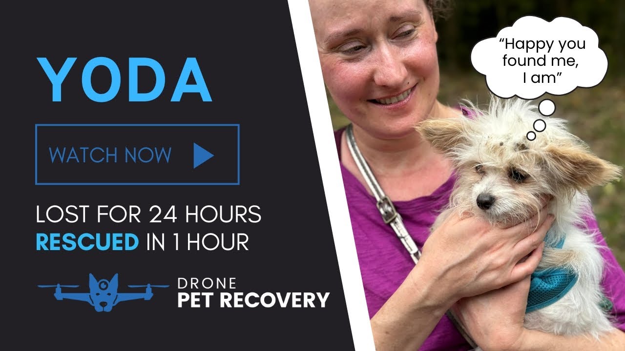Saving Yoda: Lost Dog Thermal Drone Search and Emotional Rescue