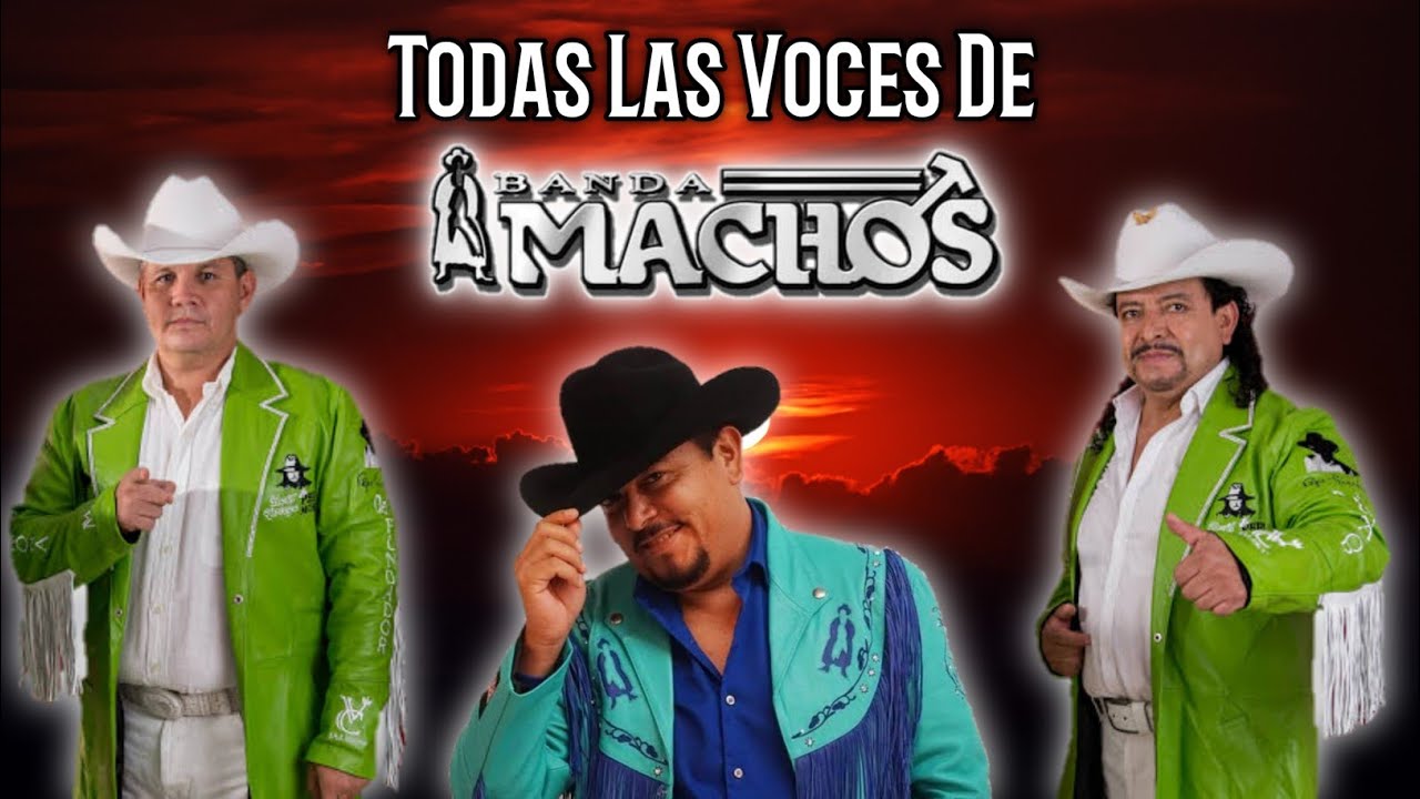 Todas Las Voces De BANDA MACHOS En Un Vídeo || Etern∞