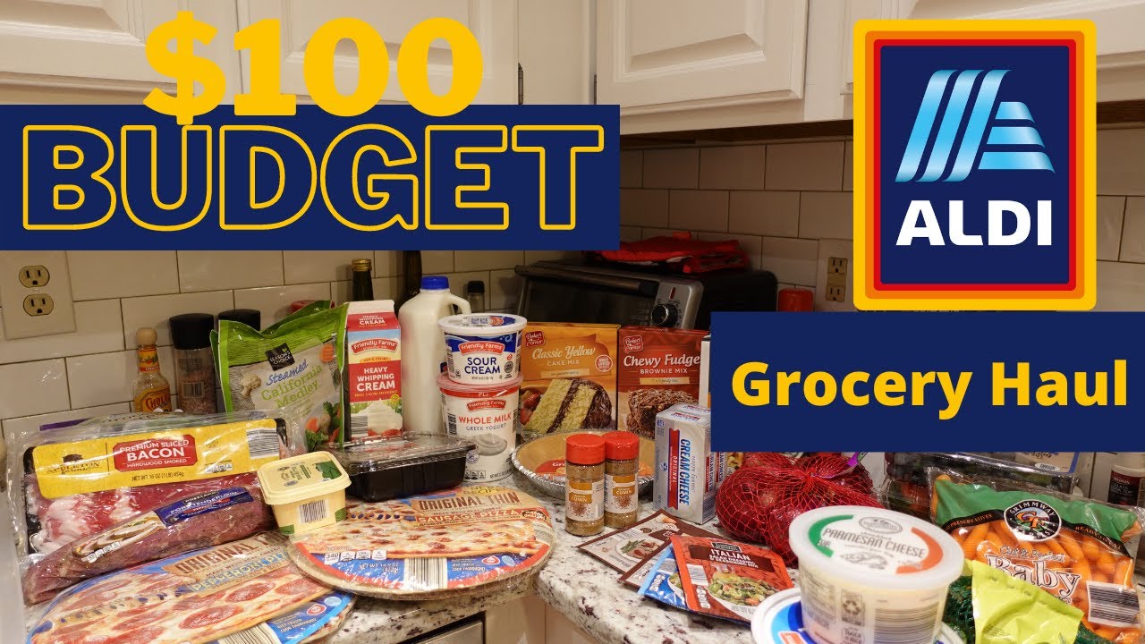 $100 Budget for 2 Weeks of Groceries | Aldi Haul