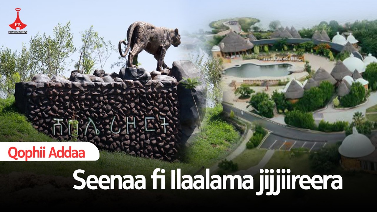 Seenaa fi Ilaalama jijjiireera. etv |Ebc |Etv Afaan Oromoo|