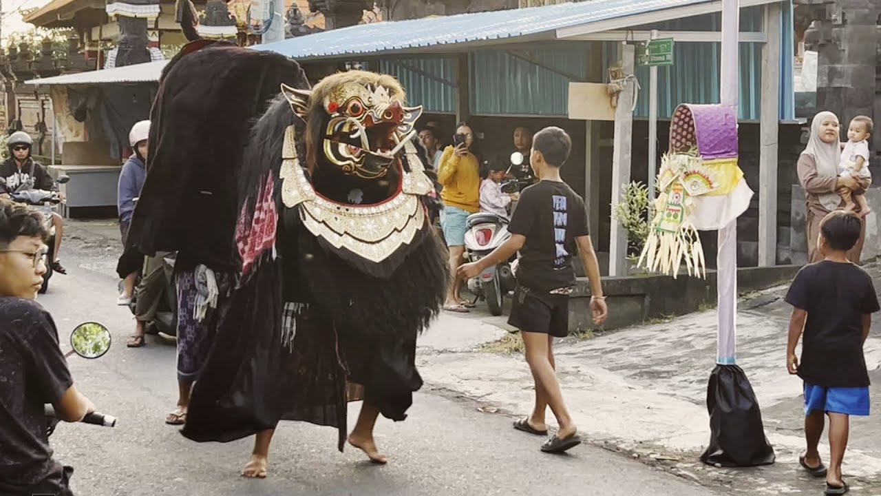 Ngelawang Barong Bangkung Waraha Agni Di Buduk November 2025