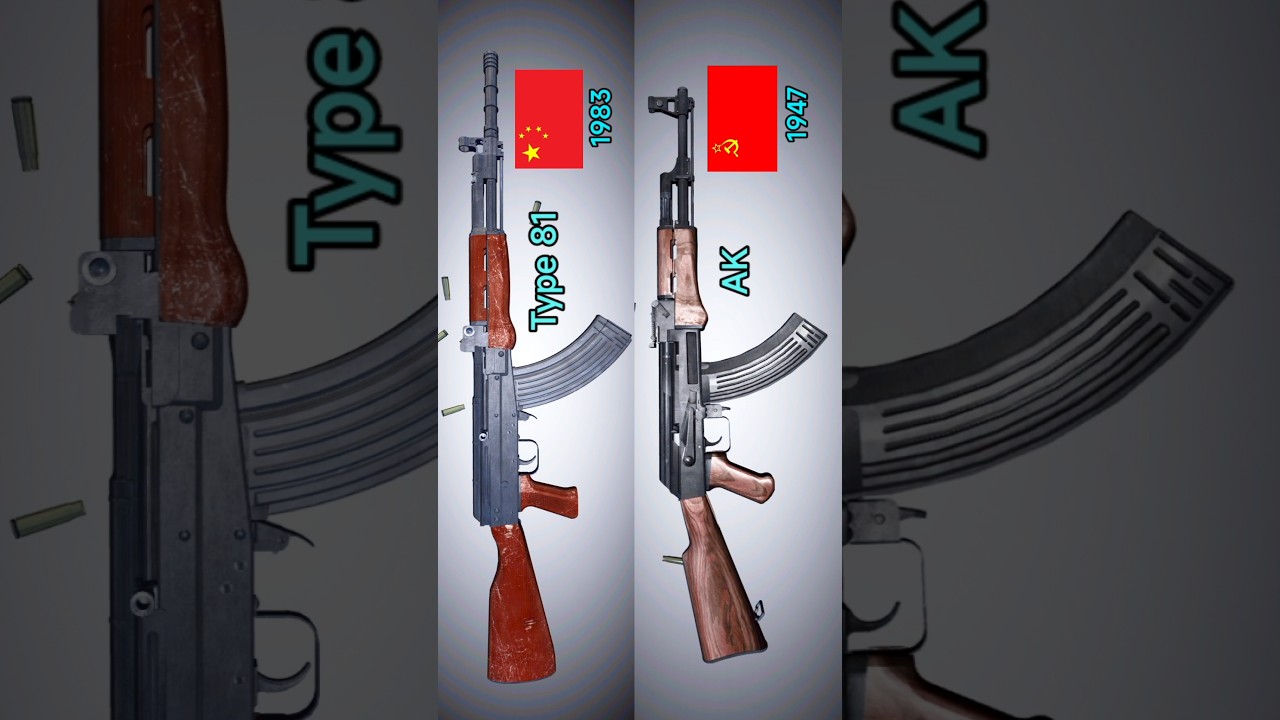 AK vs Type 81
