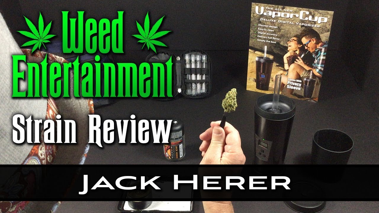 Jack Herer - Sativa - by Korova - Strain Review - from Dr. Greenthumb's, Sylmar Ca