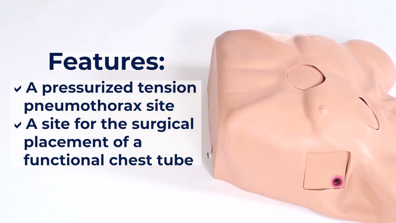 Pericardiocentesis Simulator with Chest Tube and Pneumothorax by Nasco Healthcare