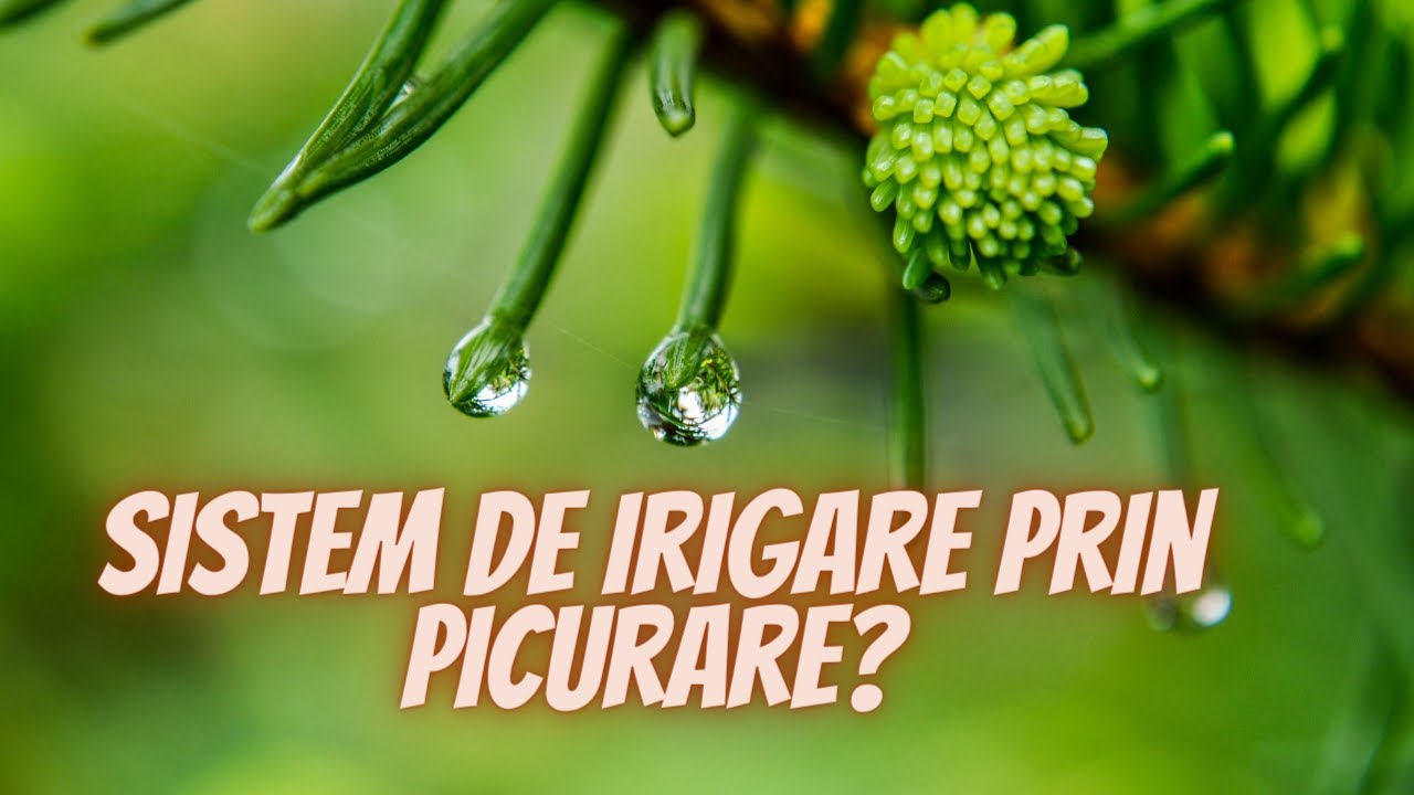 Cum se instaleaza un sistem de irigare prin picurare? Programare automata💚