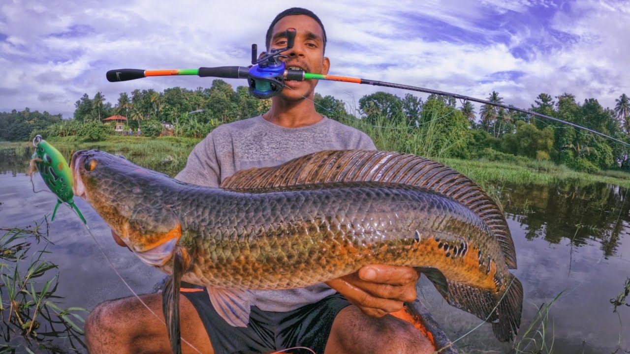 SNAKEHEAD FISHING |@mukkuvanz