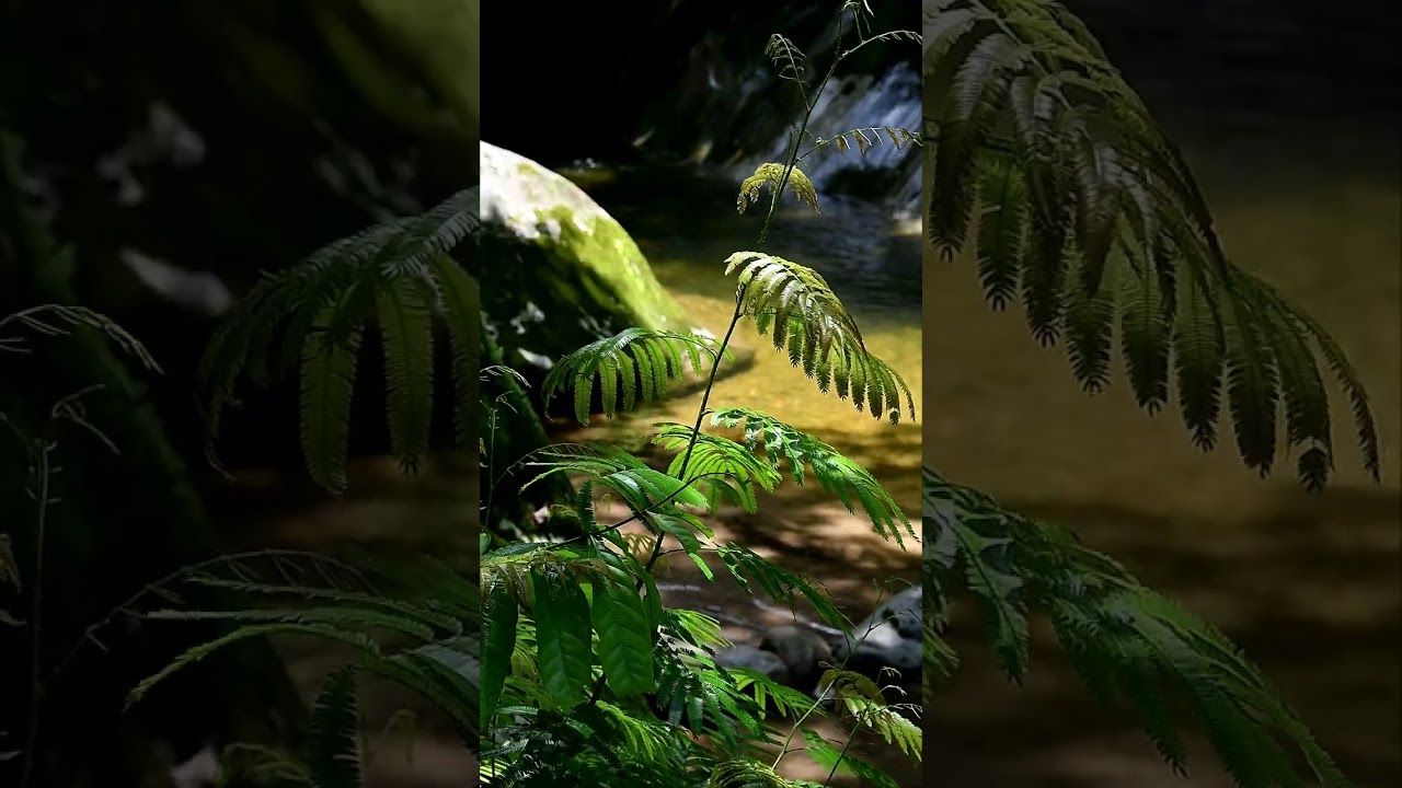 VALE DA LUA GUAPIMIRIM RJ