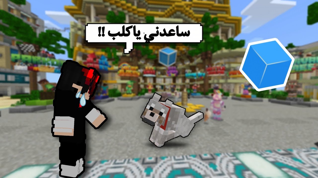 خليت الكلب في سكاي وارز يساعدني ... !CubeCraft