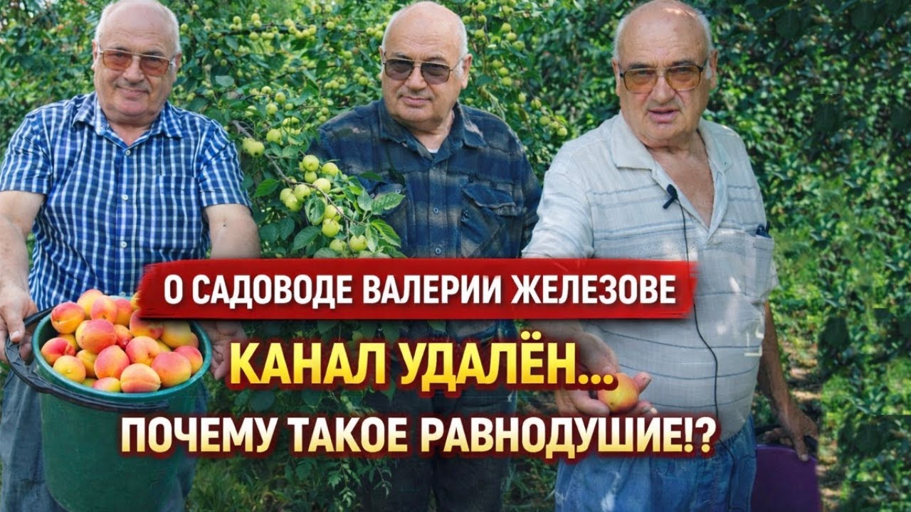 О садоводе Валерии Железове и блокировке его канала