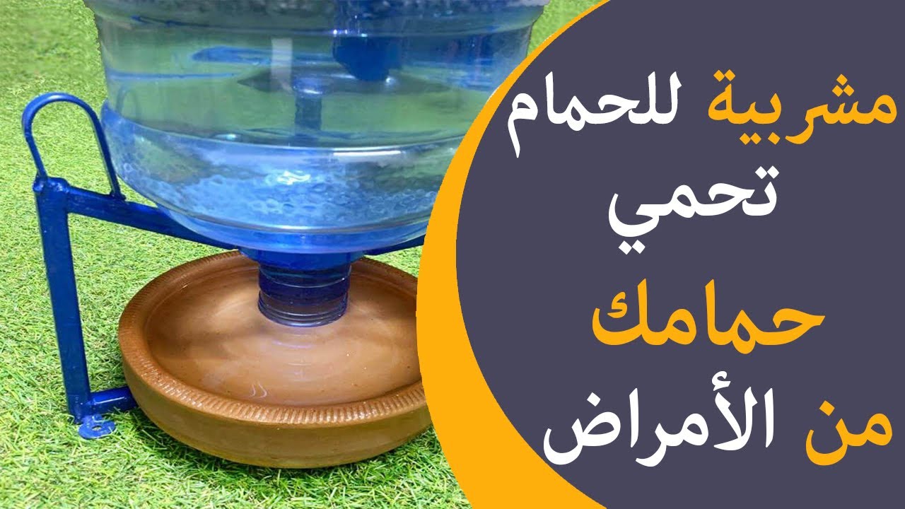 مشربية تحمي الحمام من الأمراض