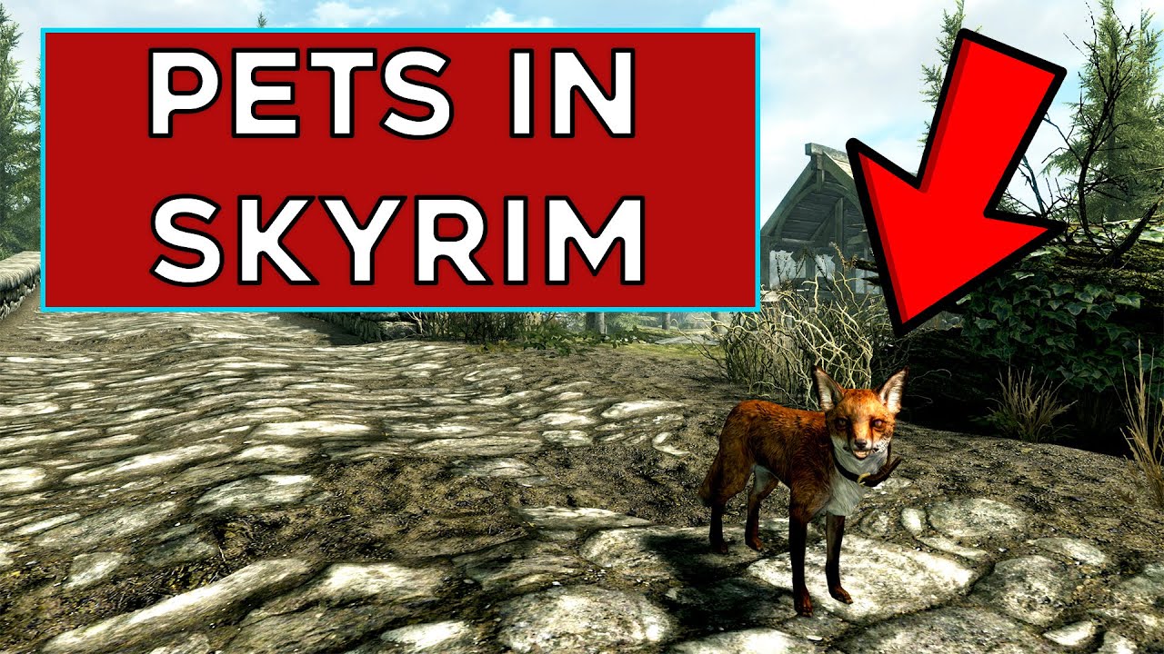 Skyrim Anniversary Edition NEW FOX PET! Where To Get Sweet Roll The Fox