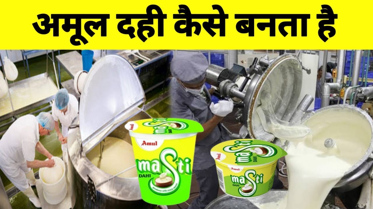Amul Dahi Factory Mein Kaise Banti Hai | Amul Dahi Kaise Banai Jati Hai | Crazy Trends