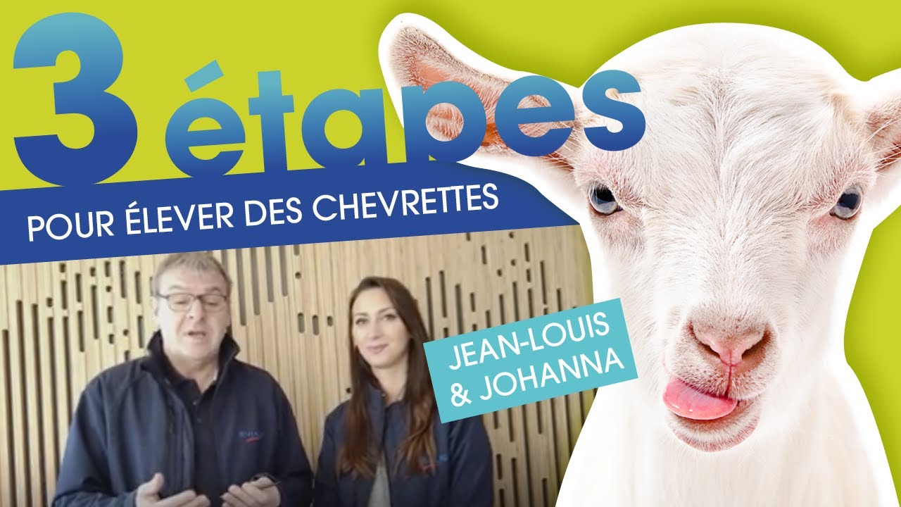 Caprins - Comment réussir votre élevage de chevrettes en 3 étapes ?