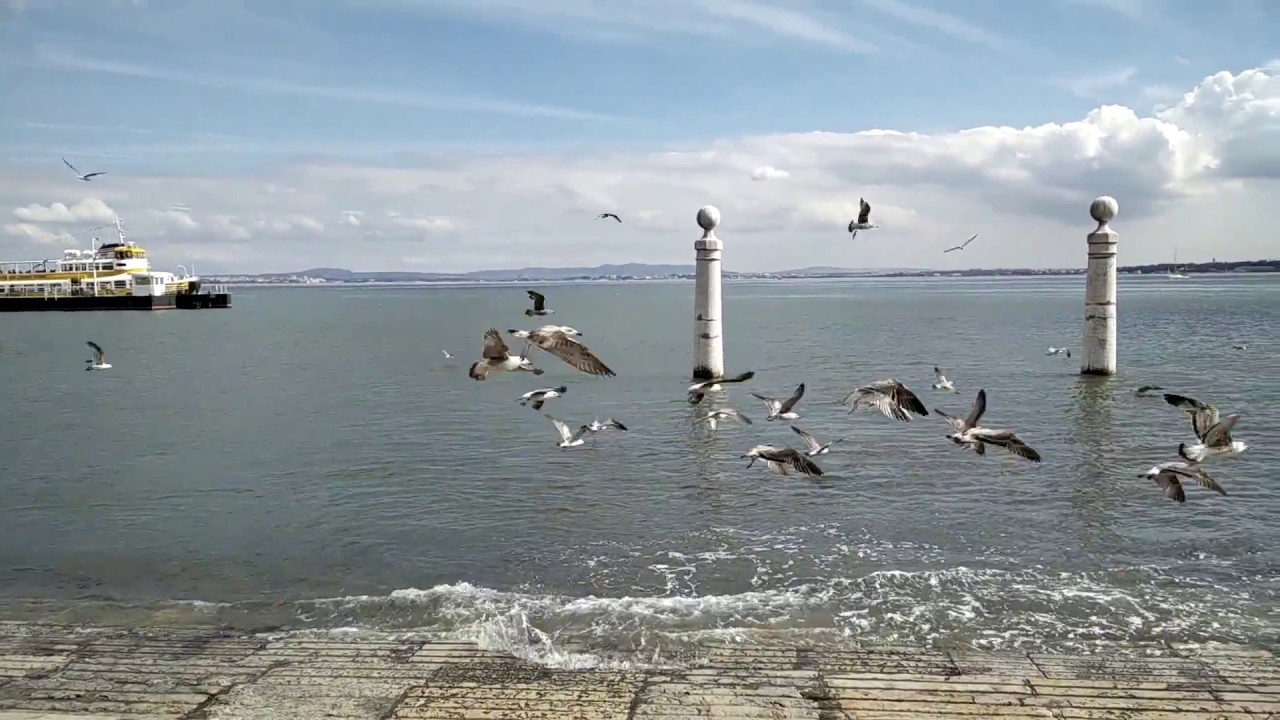Rio Tejo em Lisboa (Cais das Colunas)
