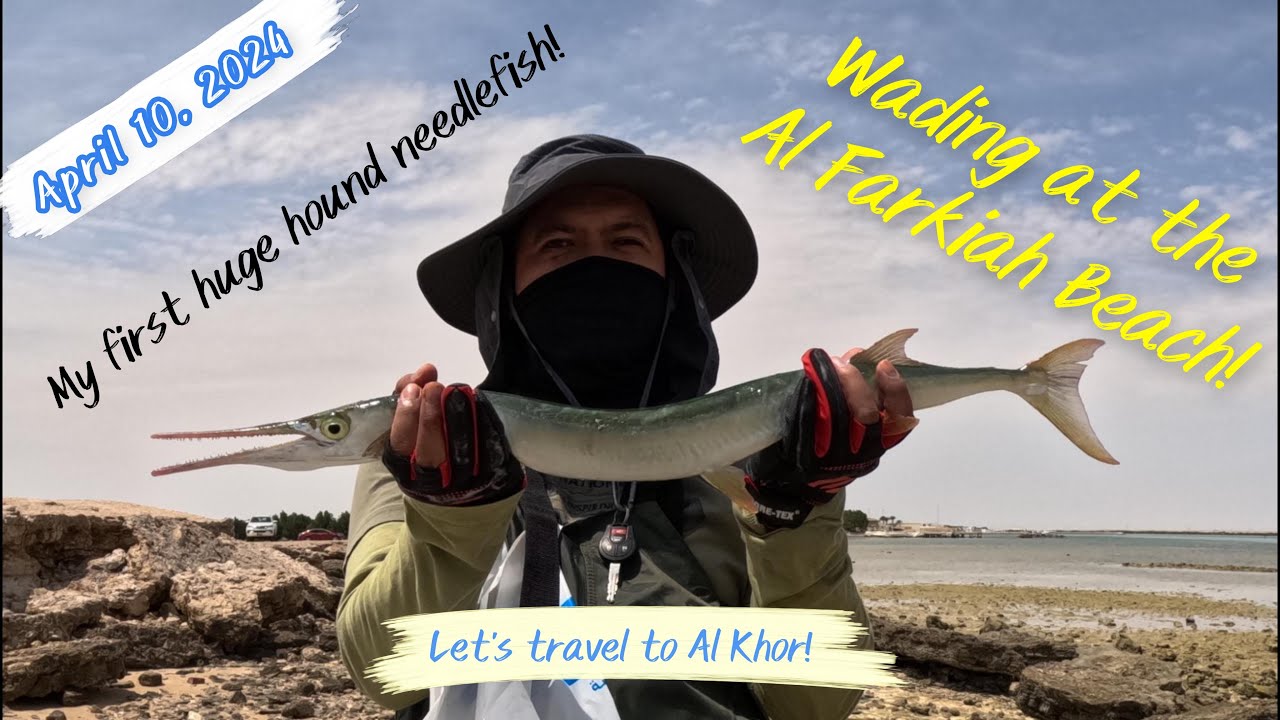 Wading at the Al Farkiah Beach! - Fishing in Qatar! (Al Khor, Qatar)