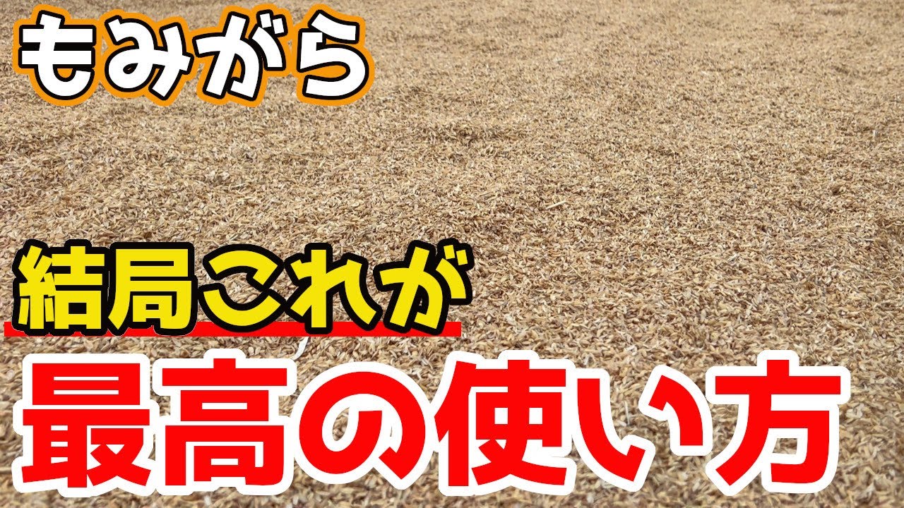 【もみがら×農業】結局この使い方がベストだと思います。【家庭菜園】