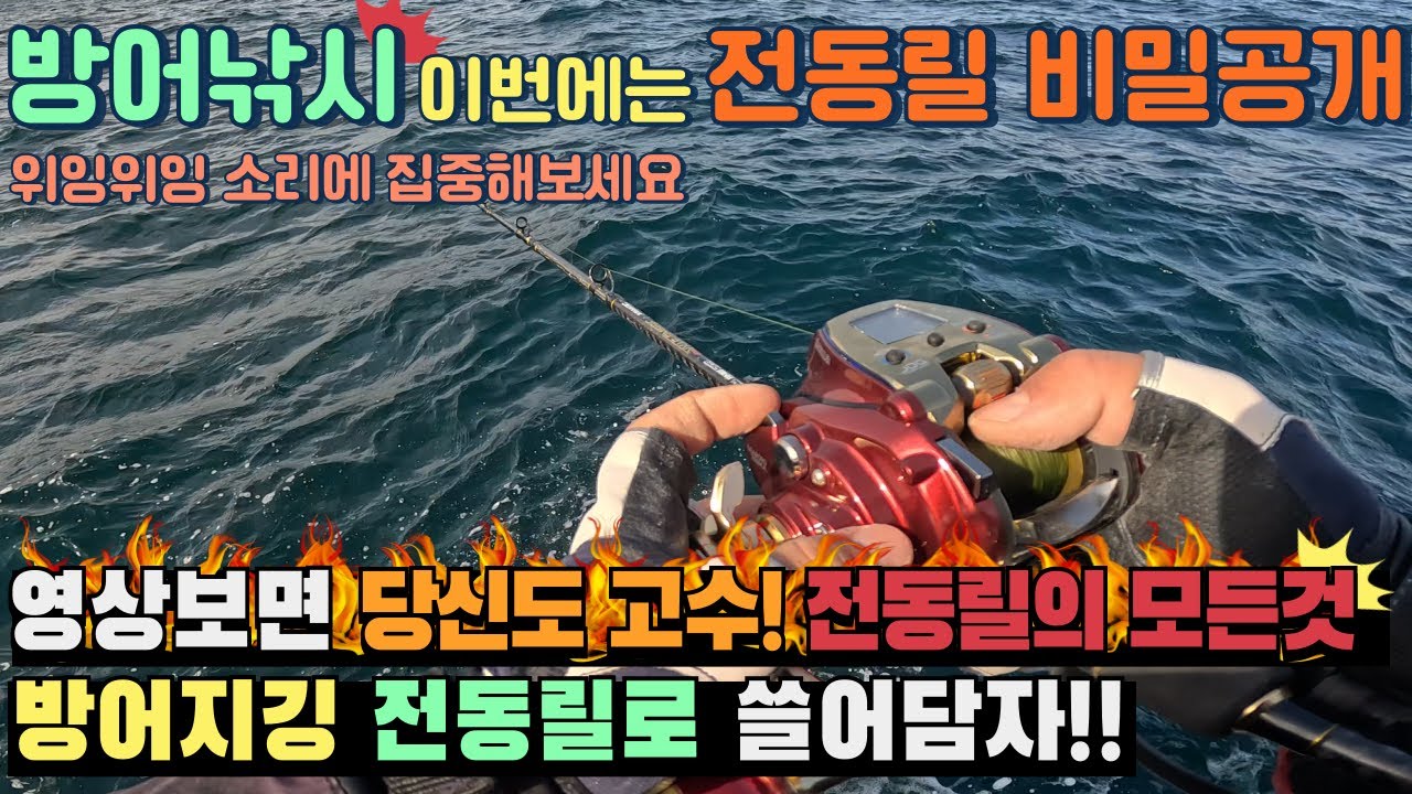 [4K] 방어낚시 전동릴 지깅의 모든것!!액션??속도??무게?? Yellowtail Fishing, Amber fish ブリ釣り ブリ