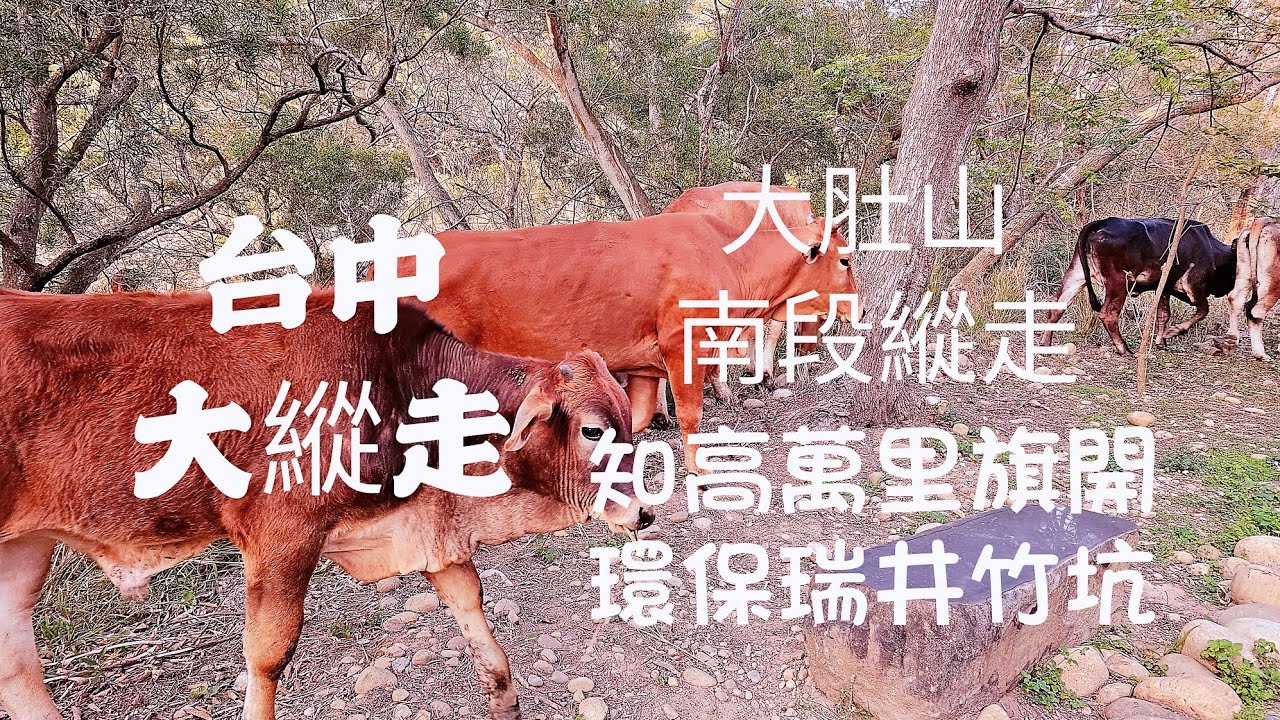 大肚山縱走南段六大步道最新玩法#台中#台中天際線#登山越野│認識故鄉主題│跑走運動│一日橫越大肚山│知高學田山步道│萬里長城步道│旗開得勝步道│環保公園步道│瑞井登山步道│竹坑南寮步道│03月23日