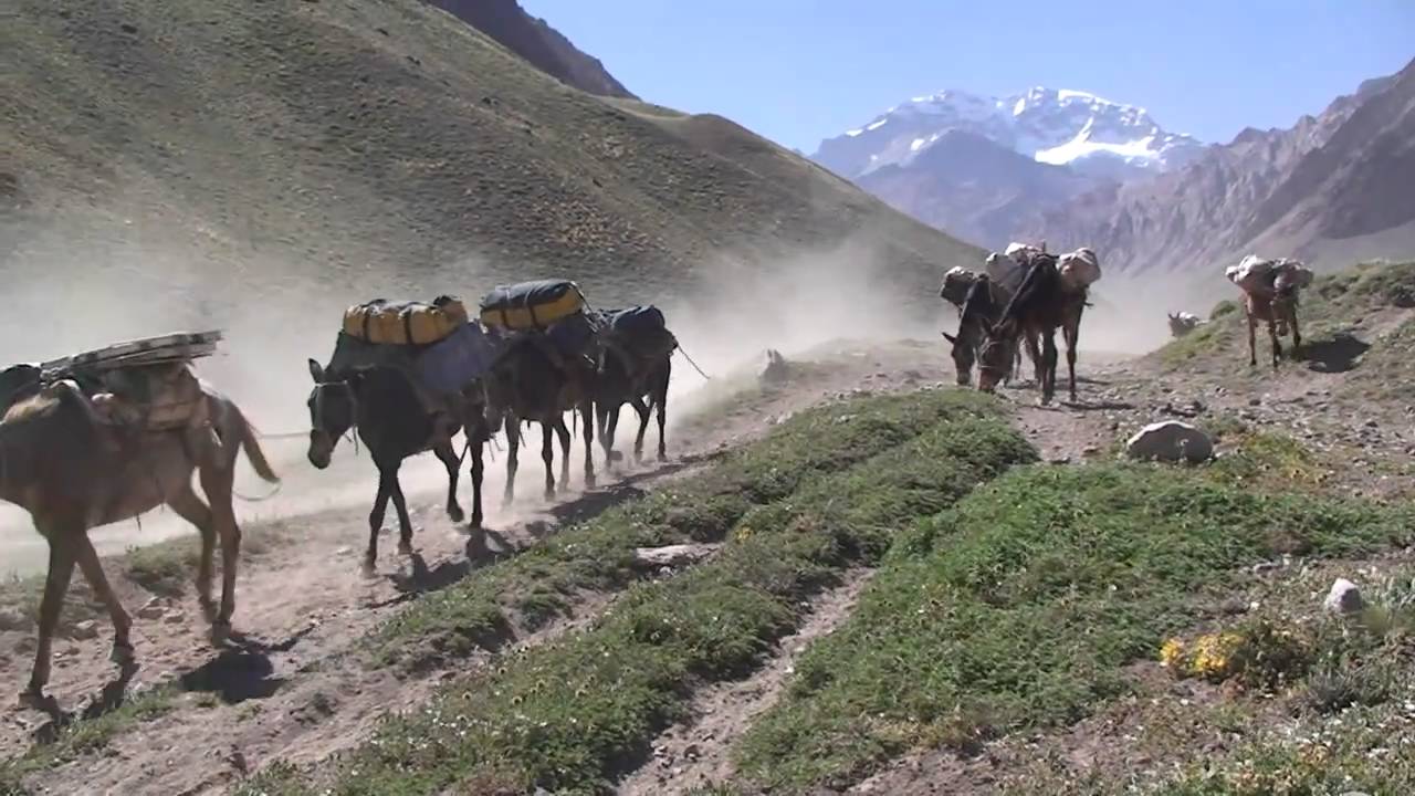 mapuche un popolo invisibile 1/3 Claudio Ceotto